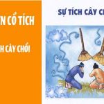 Kể chuyện cổ tích Việt Nam: Sự tích cây chổi
