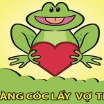 Truyện Dân gian Việt Nam: Chàng Cóc