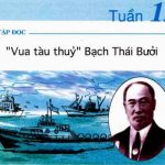 Vua tàu thủy Bạch Thái Bưởi – Tập đọc lớp 4 tuần 12, bài 21