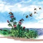 Hành trình của bầy ong – Bài Tập đọc lớp 5 tuần 12, bài 22