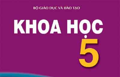 Đề thi giữa kì I môn Khoa học lớp 5 (Bài thi số 1) - Kinh nghiệm dạy học