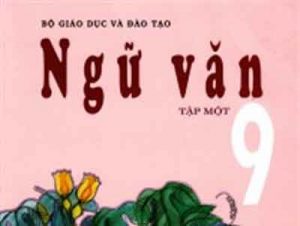 Ôn thi cuối kì môn ngữ văn 9