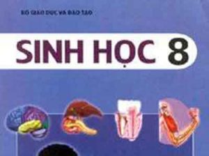 ôn thi học kì môn Sinh học 8