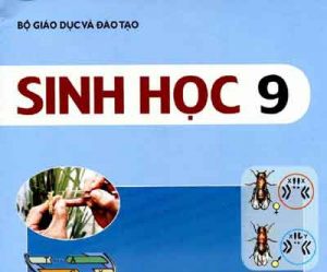 Ôn thi cuối kì môn sinh học 9