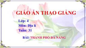 Giáo an Địa lí lớp 4 tuần 31: Thành phố Đà Nẵng