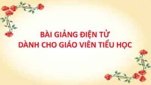 Bài giảng điện tử
