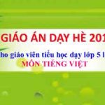 Giáo án dạy hè lớp 5 lên lớp 6 môn Tiếng Việt