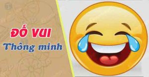 Câu đố