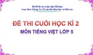 Đề thi cuối học kì 2 môn Tiếng Việt lớp 5