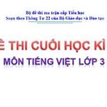 Đề thi cuối học kì 2 môn Tiếng Việt lớp 3