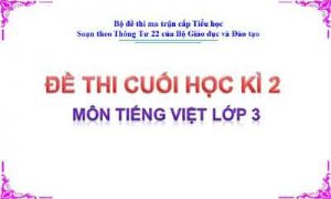 Đề thi cuối học kì 2 môn Tiếng Việt lớp 3