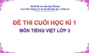 Đề thi cuối học kì 1 môn Tiếng Việt lớp 3