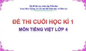 Đề thi cuối học kì 1 môn Tiếng Việt lớp 4