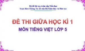 Đề thi giữa học kì 1 môn Tiếng Việt lớp 5