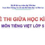 Đề thi giữa học kì 2 môn Tiếng Việt lớp 5