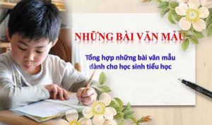 Những bài văn mẫu