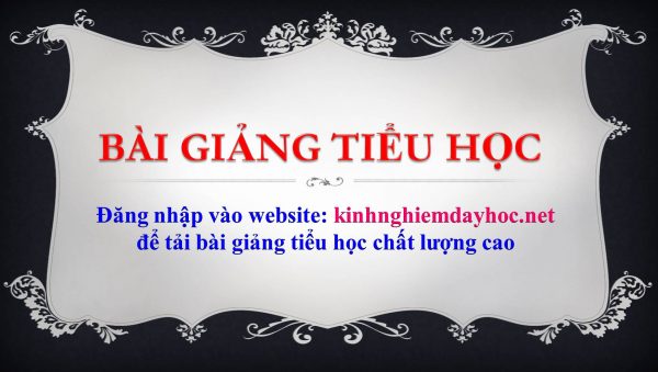 bài giảng tiểu học chất lượng cao