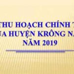 Bài thu hoạch chính trị hè 2019 của huyện Krông Năng