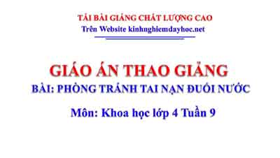 Giáo Án Phòng Tránh Tai Nạn Đuối Nước. Khoa Học Lớp 4 Tuần 9 - Kinh Nghiệm Dạy  Học