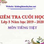 Đề kiểm tra cuối kì 1 môn Tiếng Việt 5. Năm học 2019-2020.