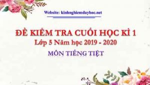 Đề kiểm tra cuối kì 1 môn Tiếng Việt 5. Năm học 2019-2020.