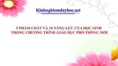 5 PHẨM CHẤT VÀ 10 NĂNG LỰC CỦA HỌC SINH - Kinh nghiệm dạy học