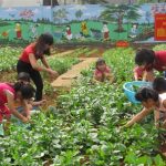 Biện pháp xây dựng vườn rau sạch cho trẻ ở trường Mẫu giáo
