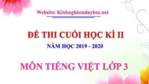 Đề thi cuối kì II môn Tiếng việt lớp 3. Năm học 2019 - 2020