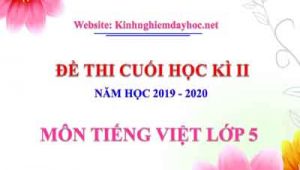 Đề thi môn Tiếng Việt lớp 5 cuối kì II theo Thông tư 22.