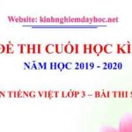 Đề thi cuối kì II môn Tiếng Việt lớp 3 - Bài thi số 2