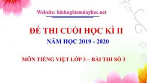 Đề thi cuối kì II môn Tiếng Việt lớp 3 - Bài thi số 2