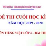Đề thi cuối kì II môn Tiếng Việt lớp 3 – Bài thi số 3