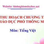Bài thu hoạch môn Tiếng Việt. Chương trình giáo dục tổng thể