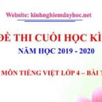 Đề thi cuối kì II môn Tiếng Việt lớp 4. Bài thi số 3