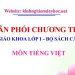 Phân phối chương trình môn Tiếng Việt lớp 1. Bộ sách cánh diều