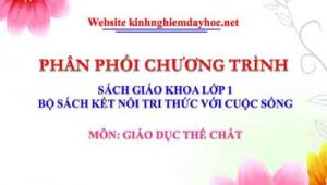 Giao Duc The Chat