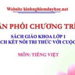 Phân phối chương trình môn Tiếng Việt. Bộ sách Kết nối tri thức với cuộc sống