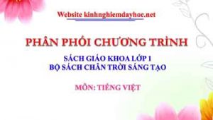 Phân phối chương trình môn Tiếng Việt lớp 1. Bộ sách Chân trời sáng tạo