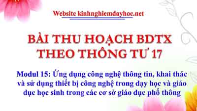 module gvpt 15 tiểu học