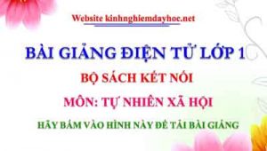 Bai Giang Tnxh Lop 1