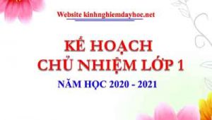 Ke Hoach Cu Nhiem Nam Hoc 2