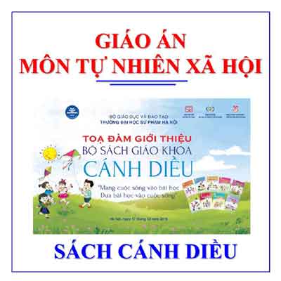 Giáo án TNXH sách cánh diều