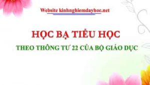 Hoc Ba Tieu Hoc Theo Thong