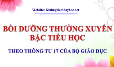 Boi Duong Thuong Xuyen
