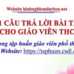 11 câu bài tập tập huấn trên website taphuan.csdl.edu.vn