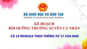 Boi Duong Thuong Xuyen Tieu