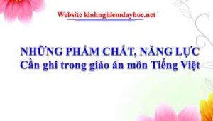 Pham Chat Nang Luc