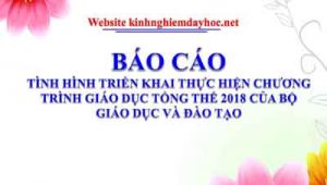 Bao Cao Chuong Trinh 2018