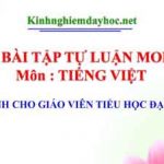 11 câu bài tập tự luận Module 1 môn Tiếng Việt dành cho giáo viên đại trà