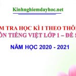Đề kiểm tra học kì I môn Tiếng Việt lớp 1 – Đề số 1